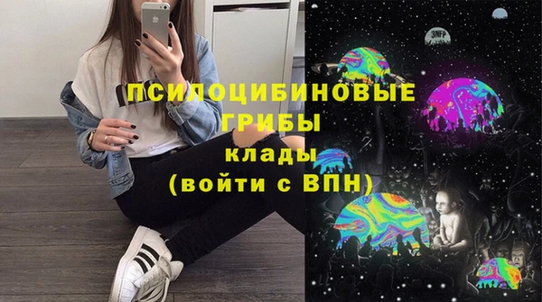 ГАЛЛЮЦИНОГЕННЫЕ ГРИБЫ Алексин