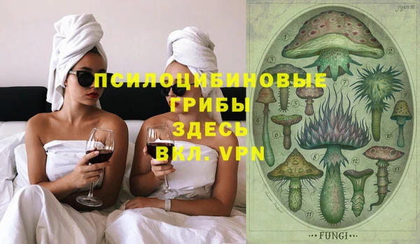 ГАЛЛЮЦИНОГЕННЫЕ ГРИБЫ Алексин