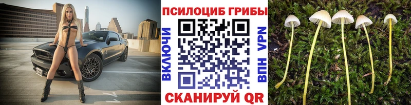 Псилоцибиновые грибы Cubensis  Разумное 